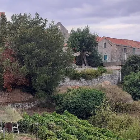 Heritage Kyra & Fox In Pitve, Hvar アパート Pitve